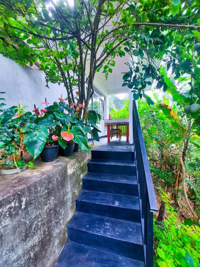 The Bliss Homestay Procida Dış mekan fotoğraf