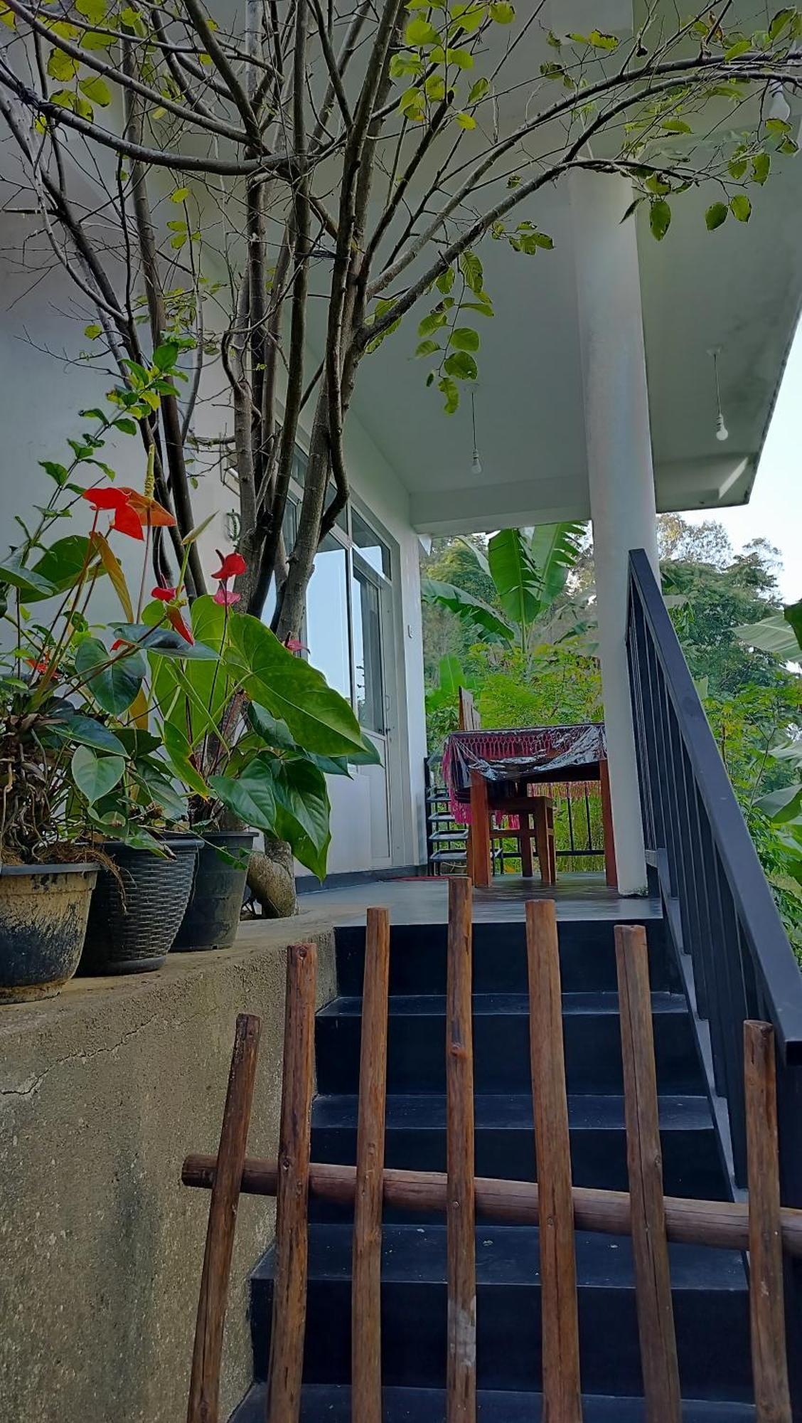 The Bliss Homestay Procida Dış mekan fotoğraf